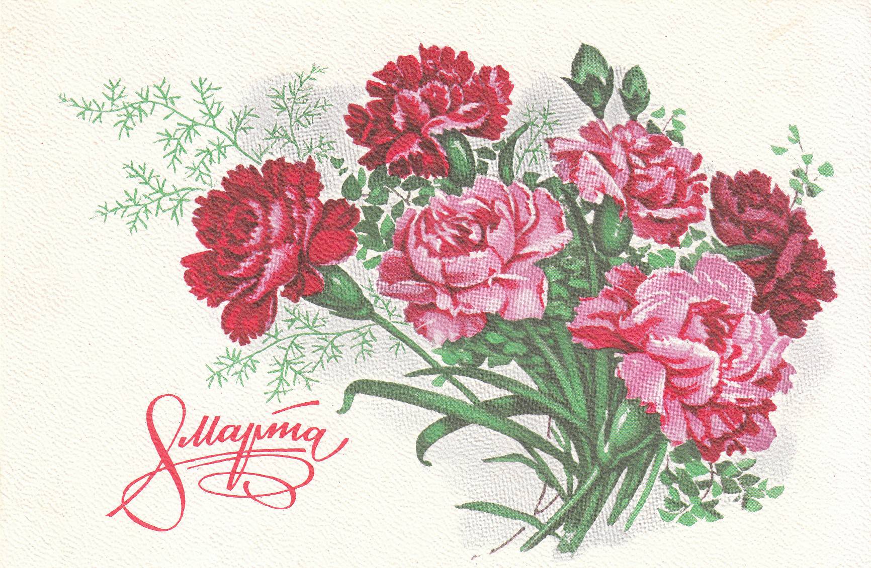 Советские открытки с гвоздиками