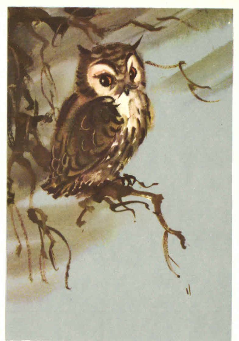 Советские открытки с совами